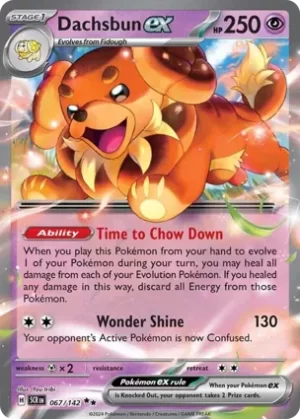 Dachsbun Ex - 067/142 - Holo - Double Rare